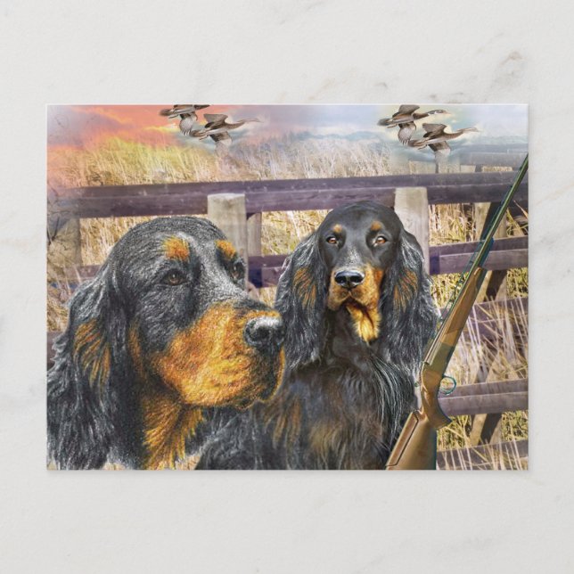 Cartão Postal Gordon Setter Em Um Presente De Caça (Frente)