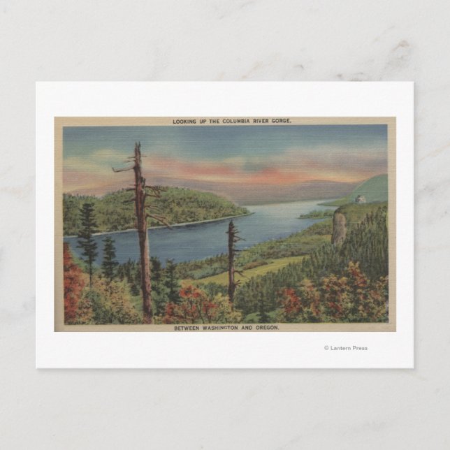 Cartão Postal Gorge do Rio Columbia (Frente)