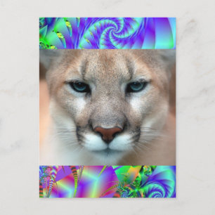 CARTÃO POSTAL GORGEOSO COUGAR