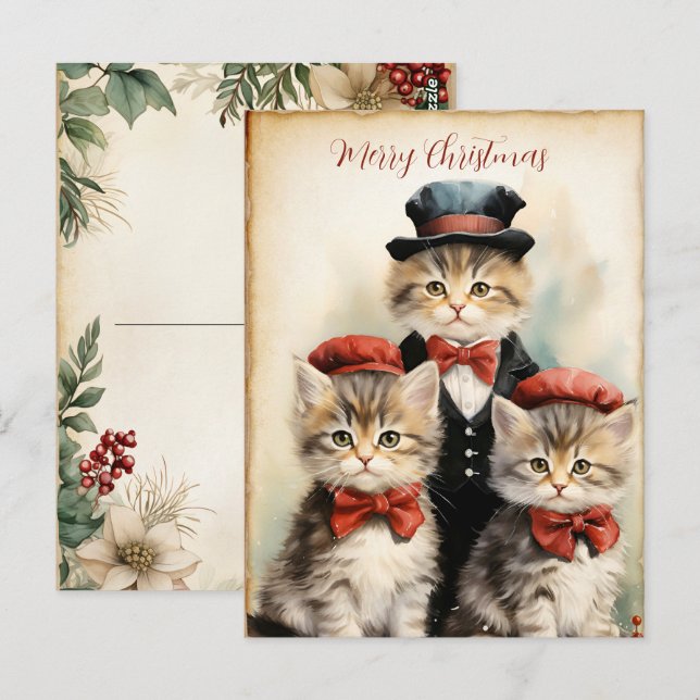 Cartão Postal Gorgeous Three Kitten Family Christmas  (Frente/Verso)
