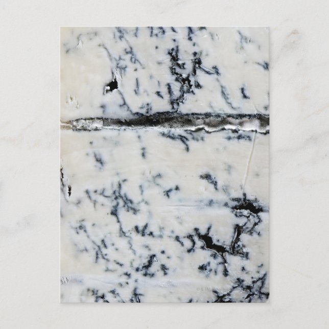 Cartão Postal Gorgonzola Cheese (Frente)