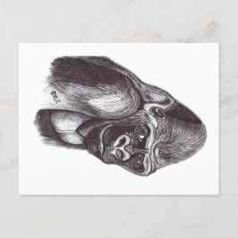 CARTÃO POSTAL GORILA