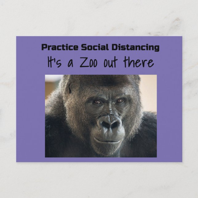 Cartão Postal Gorilas na Riot Midst Corona de Funnycomb (Frente)