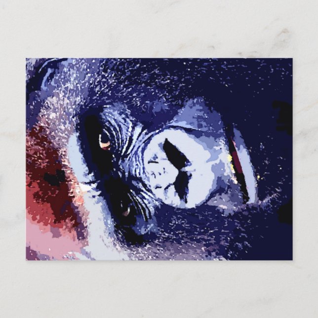 Cartão Postal Gorilla Face (Frente)