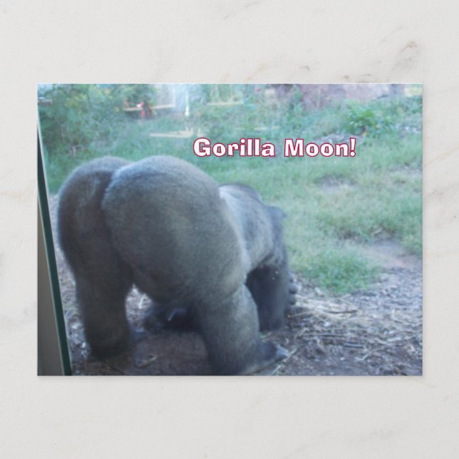 Cartão postal Gorilla Moon (Frente)