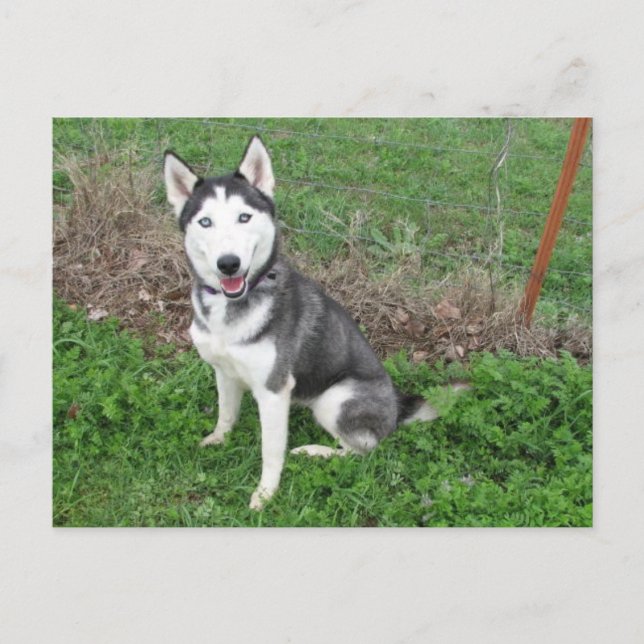 Cartão Postal Gosto (Frente)