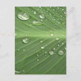 Cartão Postal Gota a Gota