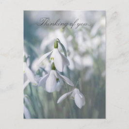 Cartão Postal Gotas de Neve Pensando Em Você