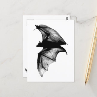 Cartão Postal Gótica Vampiro Bats