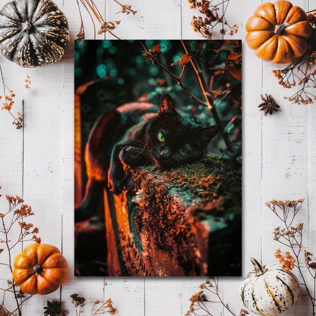 Cartão Postal Gótico preto oculto no cemitério (Criador carregado)