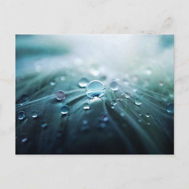 Cartão Postal Gotículas (Frente)