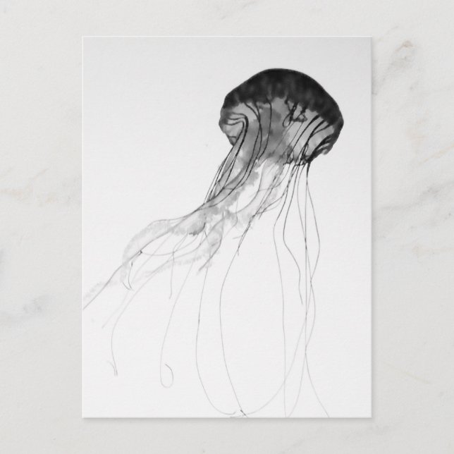 Cartão Postal Graceful Jellyfish (Frente)