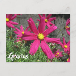 Cartão Postal Gracias obrigado de flor roxa espanhola