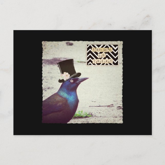 Cartão Postal Grackle Doces ou Travessuras (Frente)