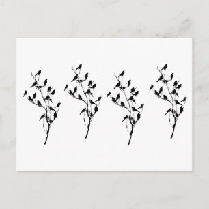 Cartão Postal Grackle Shadows