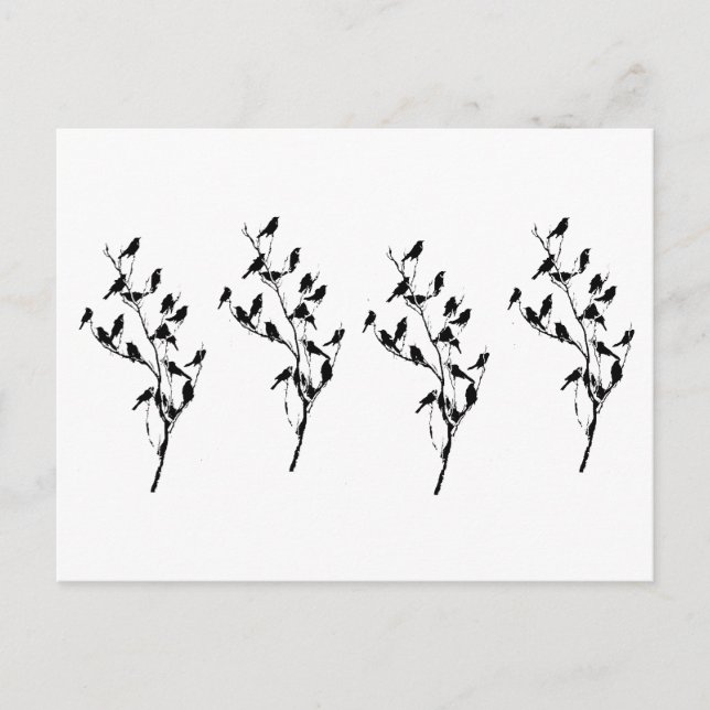 Cartão Postal Grackle Shadows (Frente)