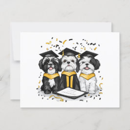 Cartão Postal Graduação Shih Tzu Dogs