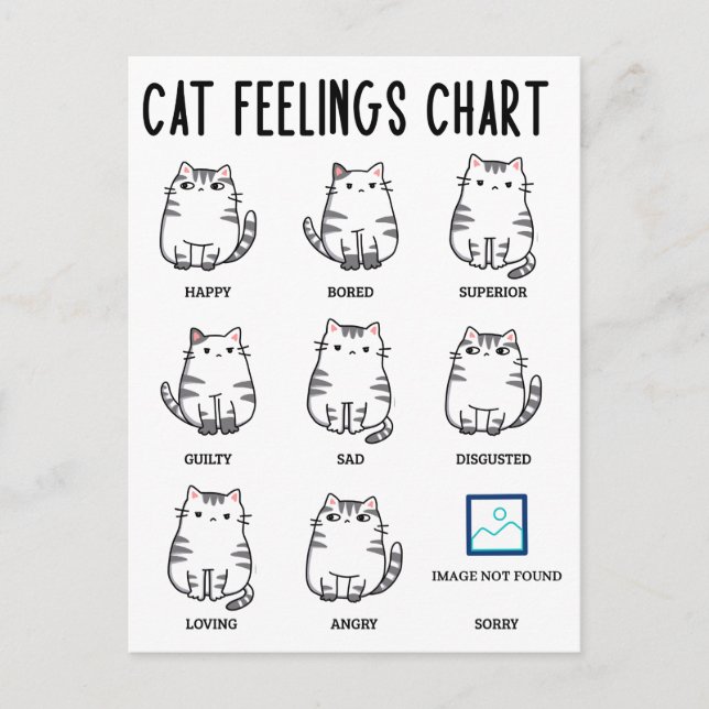 Cartão Postal Gráfico de Sentimentos do Gato (Frente)