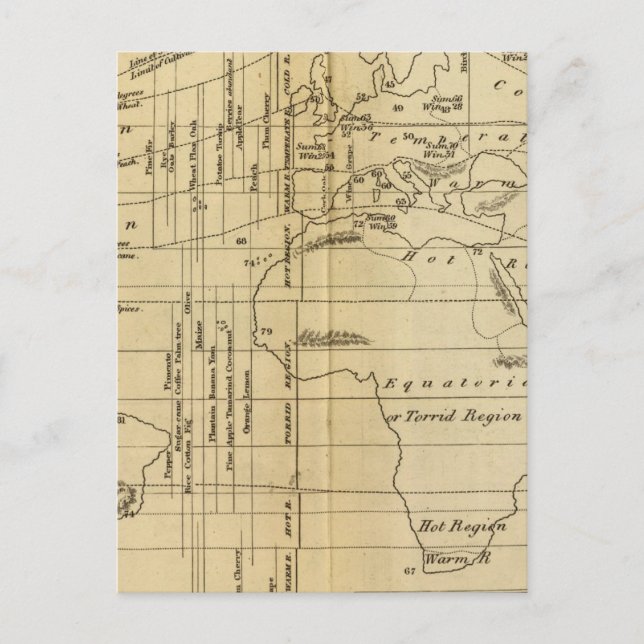 Cartão Postal gráfico isotérmico (Frente)