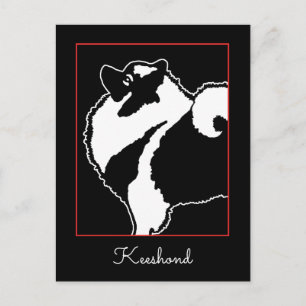 Cartão Postal Gráficos Keeshond - Arte de Cachorro Original