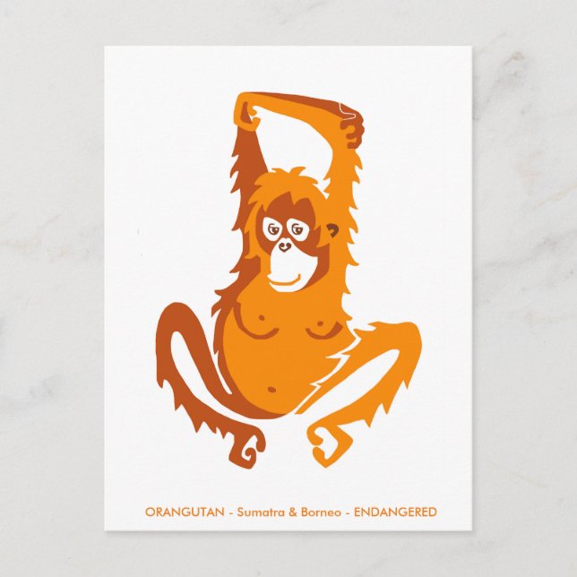 Cartão Postal Gráficos originais - ORANGUTANO - Espécies ameaçad (Frente)