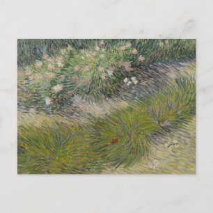 Cartão Postal Grama e Borboletas por Vincent van Gogh