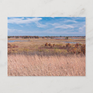 Cartão Postal gramíneas da pradaria e áreas úmidas em necedah ca