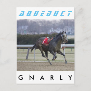 Cartão Postal Granada