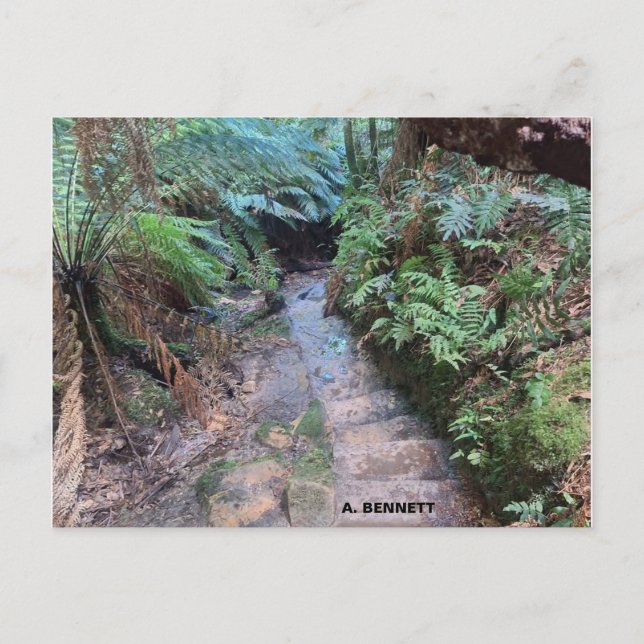 Cartão Postal Grand Canyon (Frente)