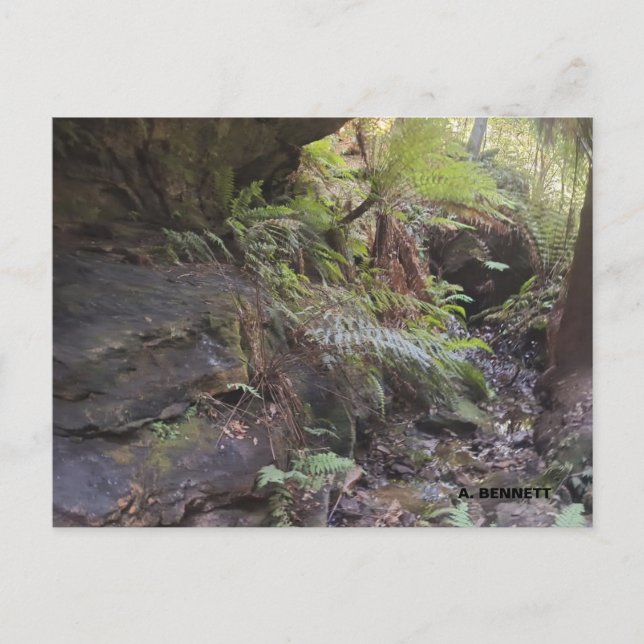 Cartão Postal Grand Canyon (Frente)