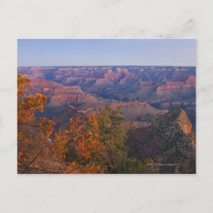 Cartão Postal Grand Canyon em Sunrise