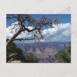 Cartão Postal Grand Canyon O PostCard de Arizona do Deserto Pint