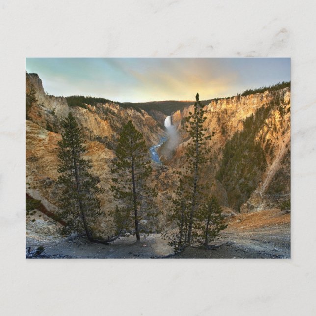 Cartão Postal Grand Canyon of Yellowstone, Yellowstone (Frente)