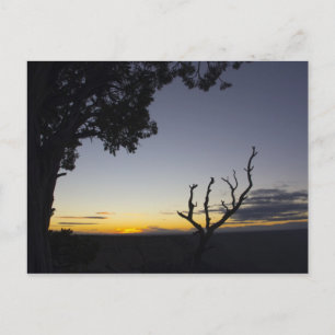 Cartão postal Grand Canyon Sunset 3