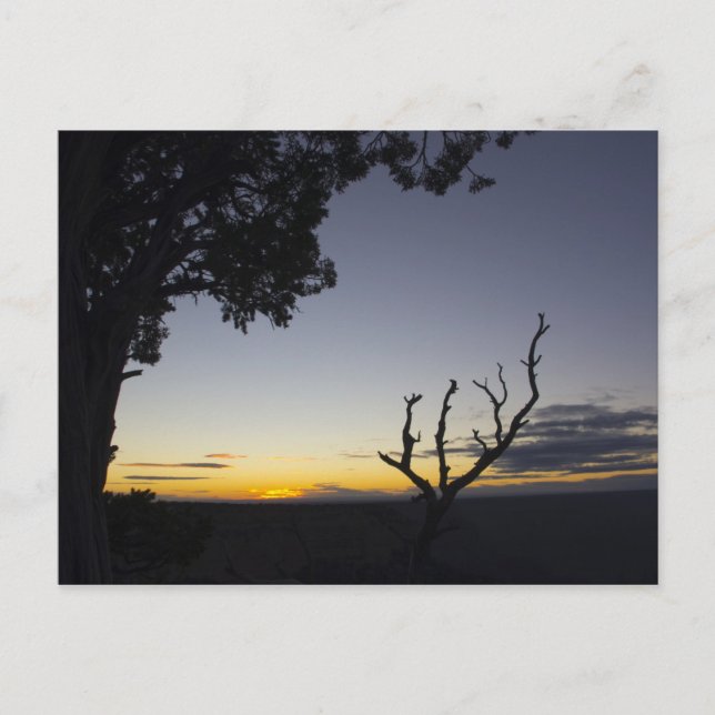 Cartão postal Grand Canyon Sunset 3 (Frente)