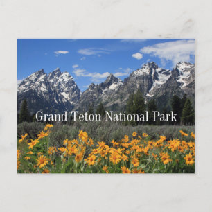 Cartão Postal Grand Tetons com neve Primavera e flores