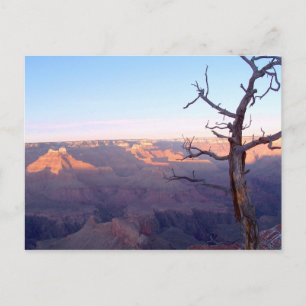 Cartão postal GrandCanyon-View#1