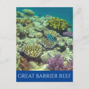 Cartão Postal grande barreira de coral austrália