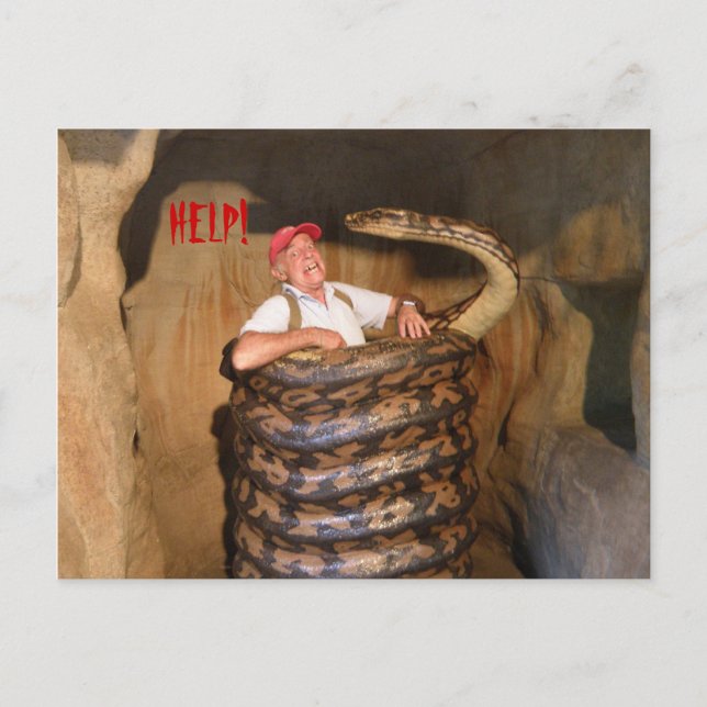 Cartão postal Grande Cobra QLD Austrália (Frente)