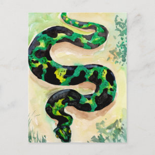 Cartão Postal Grande Cobra verde