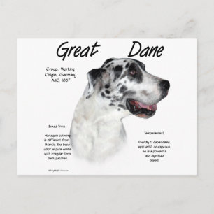 Cartão Postal Grande Design de História de Dane (harlequin)