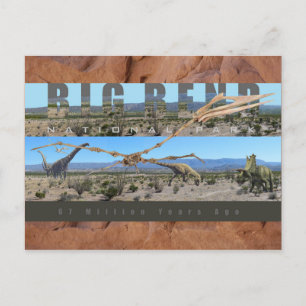 Cartão Postal GRANDE EXIBIÇÃO DE DEScoberta Fóssil NAT’L PARK-Te