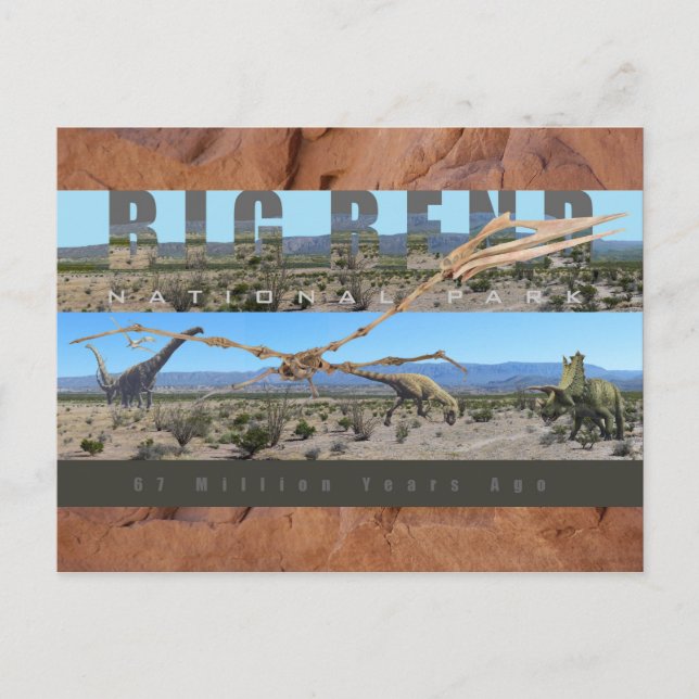 Cartão Postal GRANDE EXIBIÇÃO DE DEScoberta Fóssil NAT’L PARK-Te (Frente)