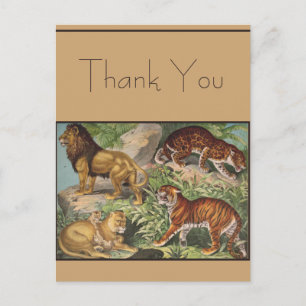 Cartão Postal Grande Gato Leões, Leopardos, Impressão de Animais
