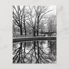 Cartão Postal Grande Paisagem de inverno no Central Park