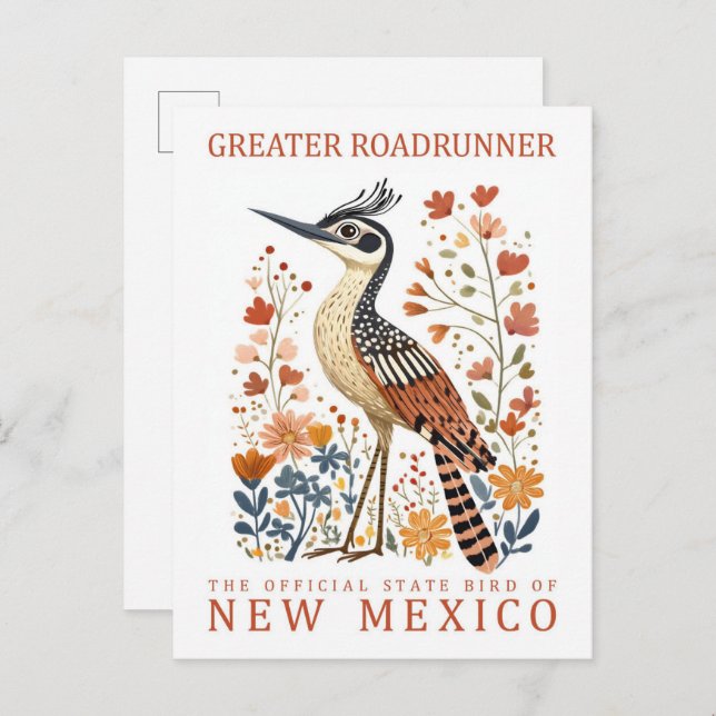 Cartão Postal Grande Pássaro Roadrunner do Novo México EUA (Frente/Verso)