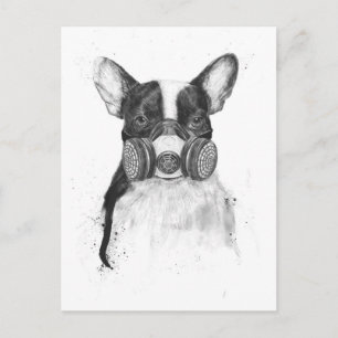 Cartão Postal Grande vida na cidade