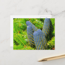 Cartão Postal Grandes Cones Azul-Coreanos