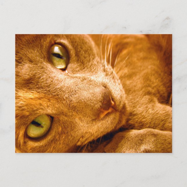 Cartão Postal Grandes Verdes (Frente)