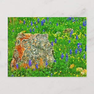 Cartão Postal Granito e flores silvestres no salão de cidades s
